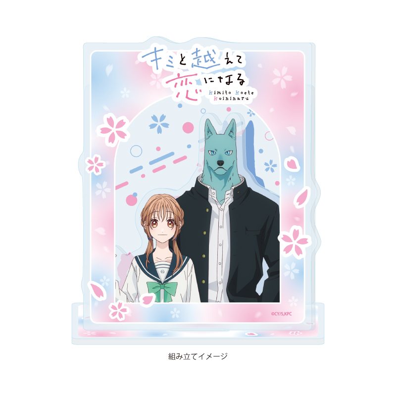 アクリルジオラマ キミと越えて恋になる 01 朝霞万理&飛高繋(公式イラスト) (Acrylic Diorama "With You, Our Love Will Make It Through" 01 Asaka Mari & Hidaka Tsunagu (Official Illustration))